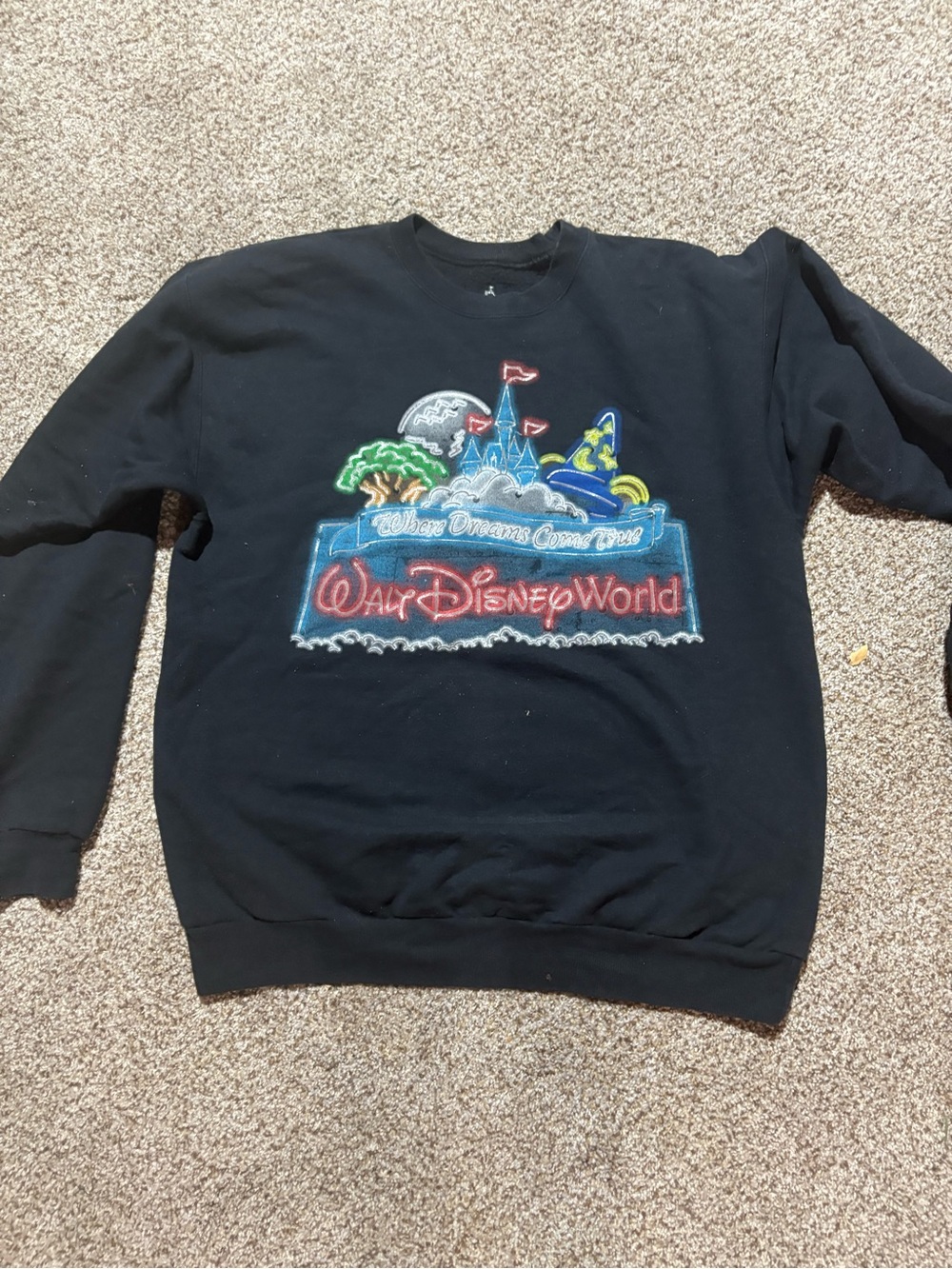 Hanes Black Crewneck Sweatshirt with Multicolor Walt Disney World Graphic
